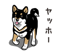 Daily Black Shiba Inu 6 sticker #14966344