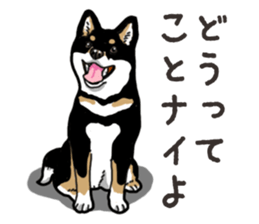 Daily Black Shiba Inu 6 sticker #14966345