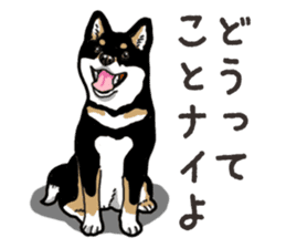Daily Black Shiba Inu 6 sticker #14966345