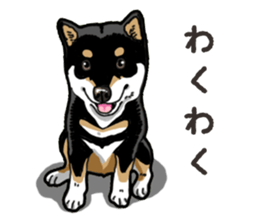 Daily Black Shiba Inu 6 sticker #14966346