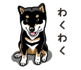 Daily Black Shiba Inu 6 sticker #14966346