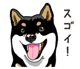 Daily Black Shiba Inu 6 sticker #14966347