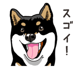 Daily Black Shiba Inu 6 sticker #14966347