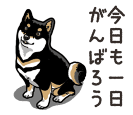 Daily Black Shiba Inu 6 sticker #14966348