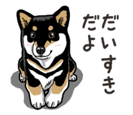 Daily Black Shiba Inu 6 sticker #14966349