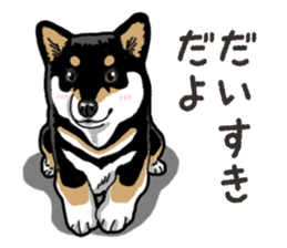 Daily Black Shiba Inu 6 sticker #14966349