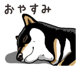 Daily Black Shiba Inu 6 sticker #14966351