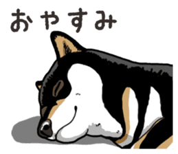 Daily Black Shiba Inu 6 sticker #14966351