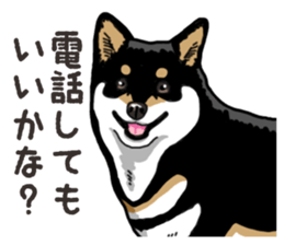 Daily Black Shiba Inu 6 sticker #14966352