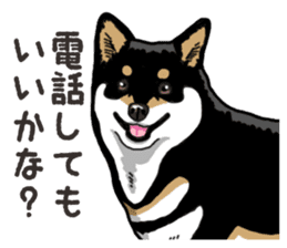 Daily Black Shiba Inu 6 sticker #14966352