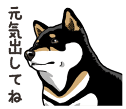 Daily Black Shiba Inu 6 sticker #14966353