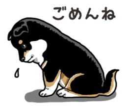 Daily Black Shiba Inu 6 sticker #14966354