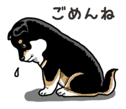 Daily Black Shiba Inu 6 sticker #14966354