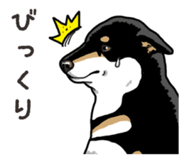 Daily Black Shiba Inu 6 sticker #14966356