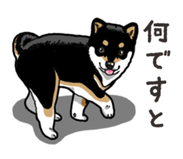 Daily Black Shiba Inu 6 sticker #14966359