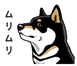 Daily Black Shiba Inu 6 sticker #14966360