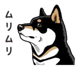 Daily Black Shiba Inu 6 sticker #14966360