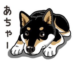 Daily Black Shiba Inu 6 sticker #14966361