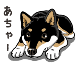 Daily Black Shiba Inu 6 sticker #14966361