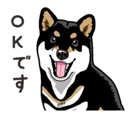 Daily Black Shiba Inu 6 sticker #14966362