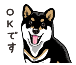Daily Black Shiba Inu 6 sticker #14966362