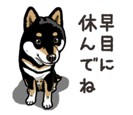 Daily Black Shiba Inu 6 sticker #14966363
