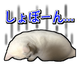 Lucky's monologue sticker #14967209