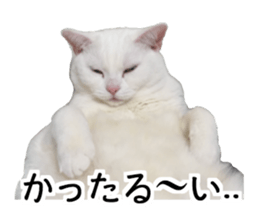 Lucky's monologue sticker #14967211