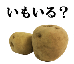 Potatoo sticker #14967290