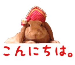 Bunny Hollandlop Daichan sticker #14967449