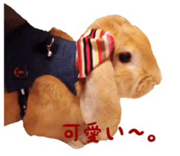Bunny Hollandlop Daichan sticker #14967452