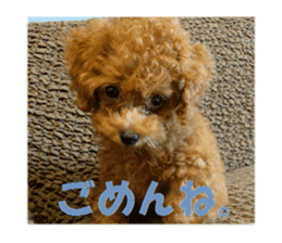 Toy Poodle Lion part3 sticker #14969606