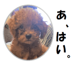 Toy Poodle Lion part3 sticker #14969610