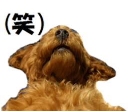 Toy Poodle Lion part3 sticker #14969611