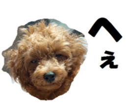 Toy Poodle Lion part3 sticker #14969614