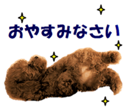 Toy Poodle Lion part3 sticker #14969621