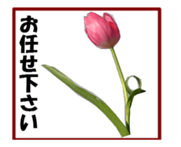 active flower sticker #14969918