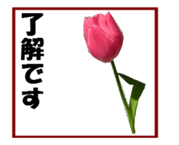 active flower sticker #14969920