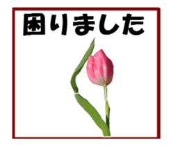 active flower sticker #14969922