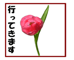 active flower sticker #14969923