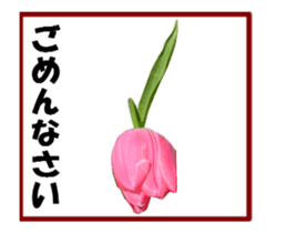 active flower sticker #14969924