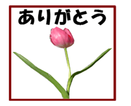 active flower sticker #14969927