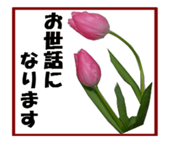 active flower sticker #14969928