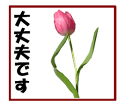 active flower sticker #14969930