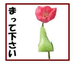 active flower sticker #14969931