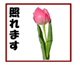 active flower sticker #14969935