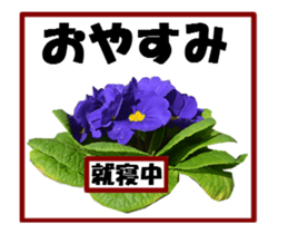 active flower sticker #14969938