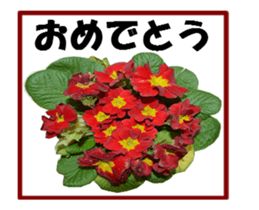 active flower sticker #14969940