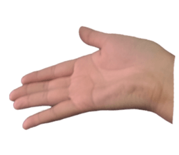 my hand say sticker #14970176