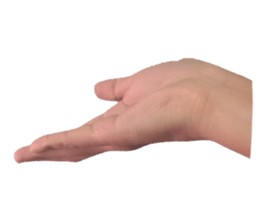 my hand say sticker #14970178